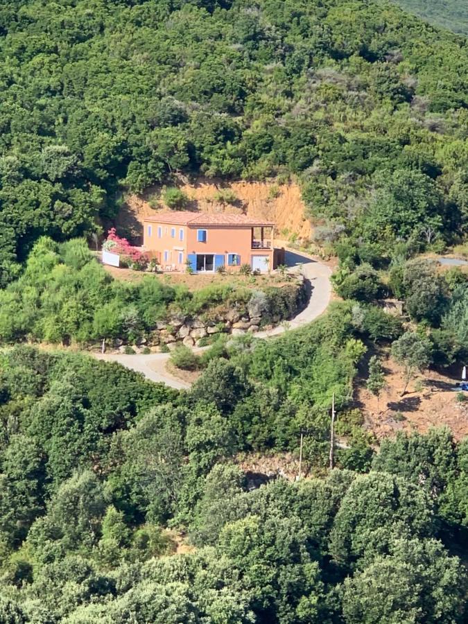 Villa Confina Villanova Exterior foto